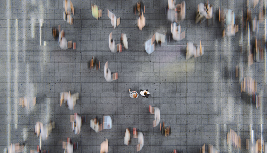 Benoeming bestuursleden BFT en indiensttreding strategisch adviseur bestuur BFT